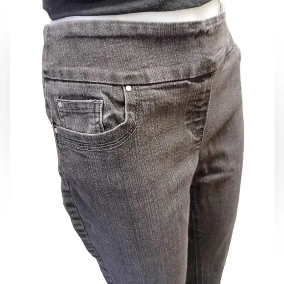 The Original Comfort Reitmans Petite Jeans Jeggings Size 10P - Picture 1 of 9